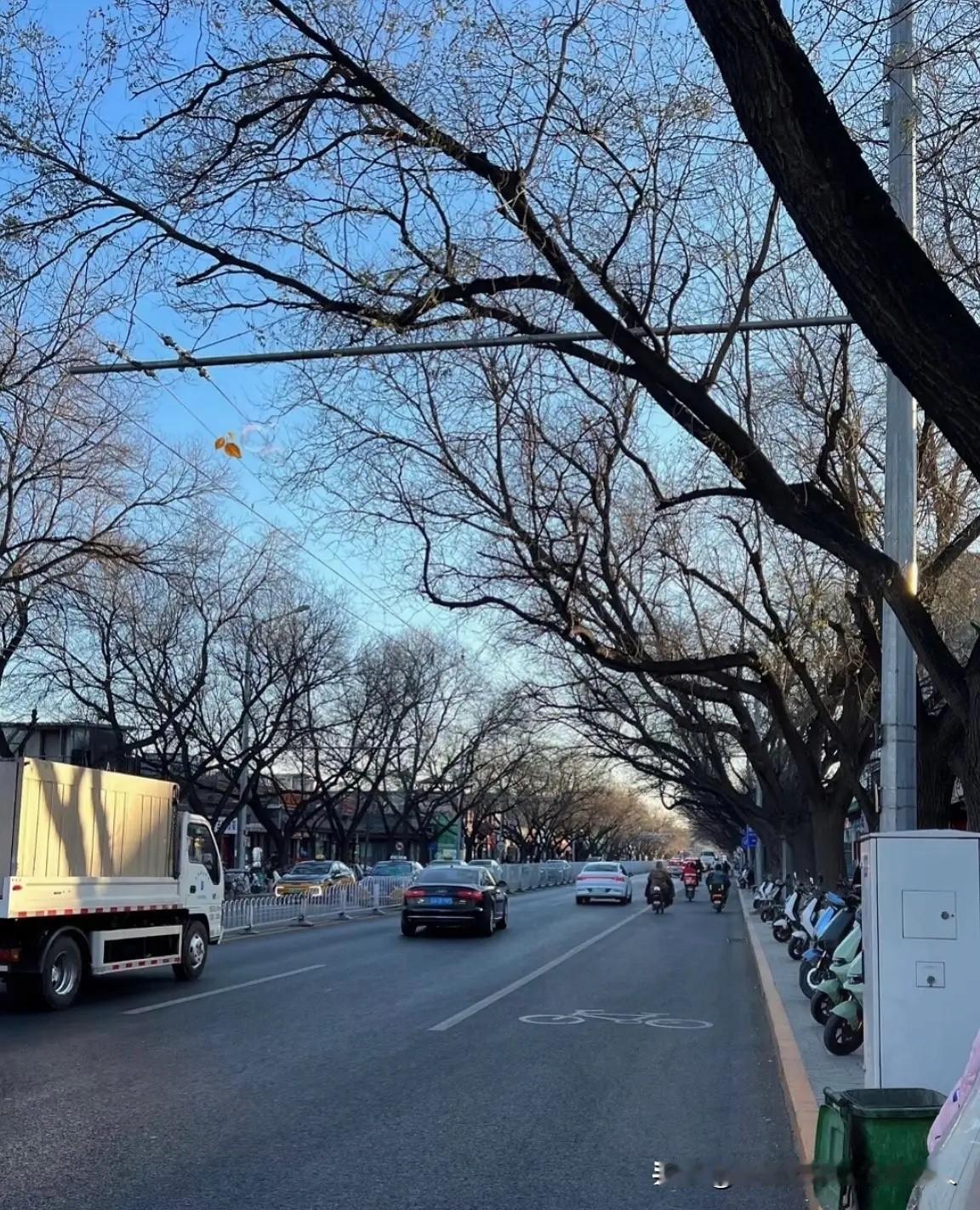 给大伙儿提个醒，心里都得有个底儿，从今天起，咱们要迎接长达17天的“霸王级”寒潮