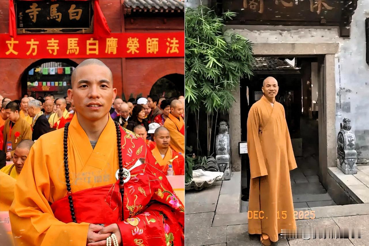 自从少林寺换了住持，风格还真是一夜之间大变样，大改啊！完全和以前不一样了。