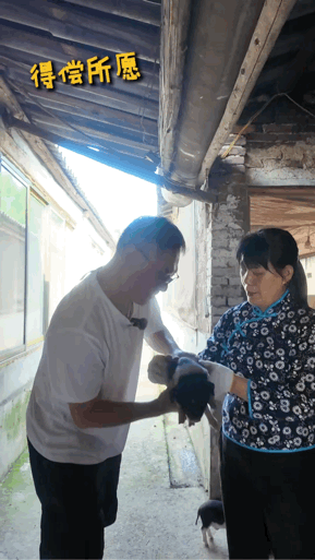 湖南花猪佩奇被黎子安找到了 黎子安与湖南宁乡花猪相处的好好，真切体验养殖户的日