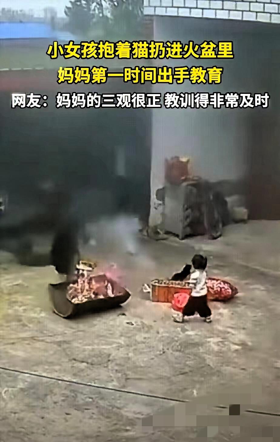 满月小猫被扔进火盆惨叫，女孩还拍手笑——当妈的那巴掌，打得我心里直叫好！平