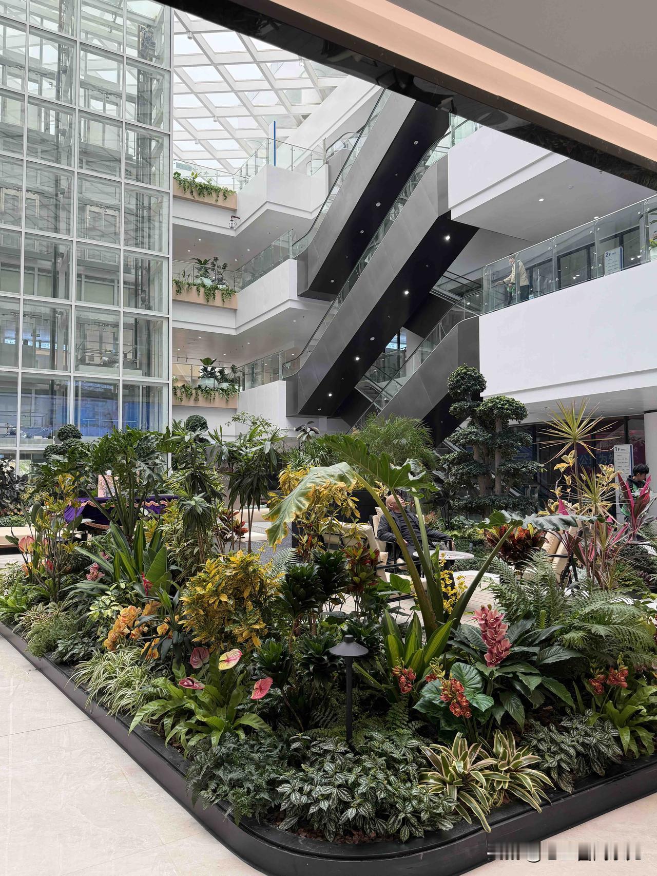 广西自贸区医院正式运营了，今天过来做个检查，整个流程体验感都不错，花园式的医院环