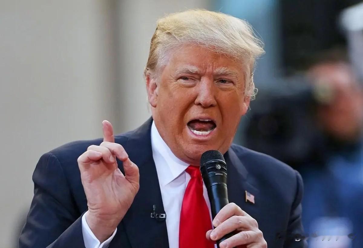 日本没加入，法国没加入，德国没加入，意大利没加入，英国没加入，印度，俄罗斯，中国