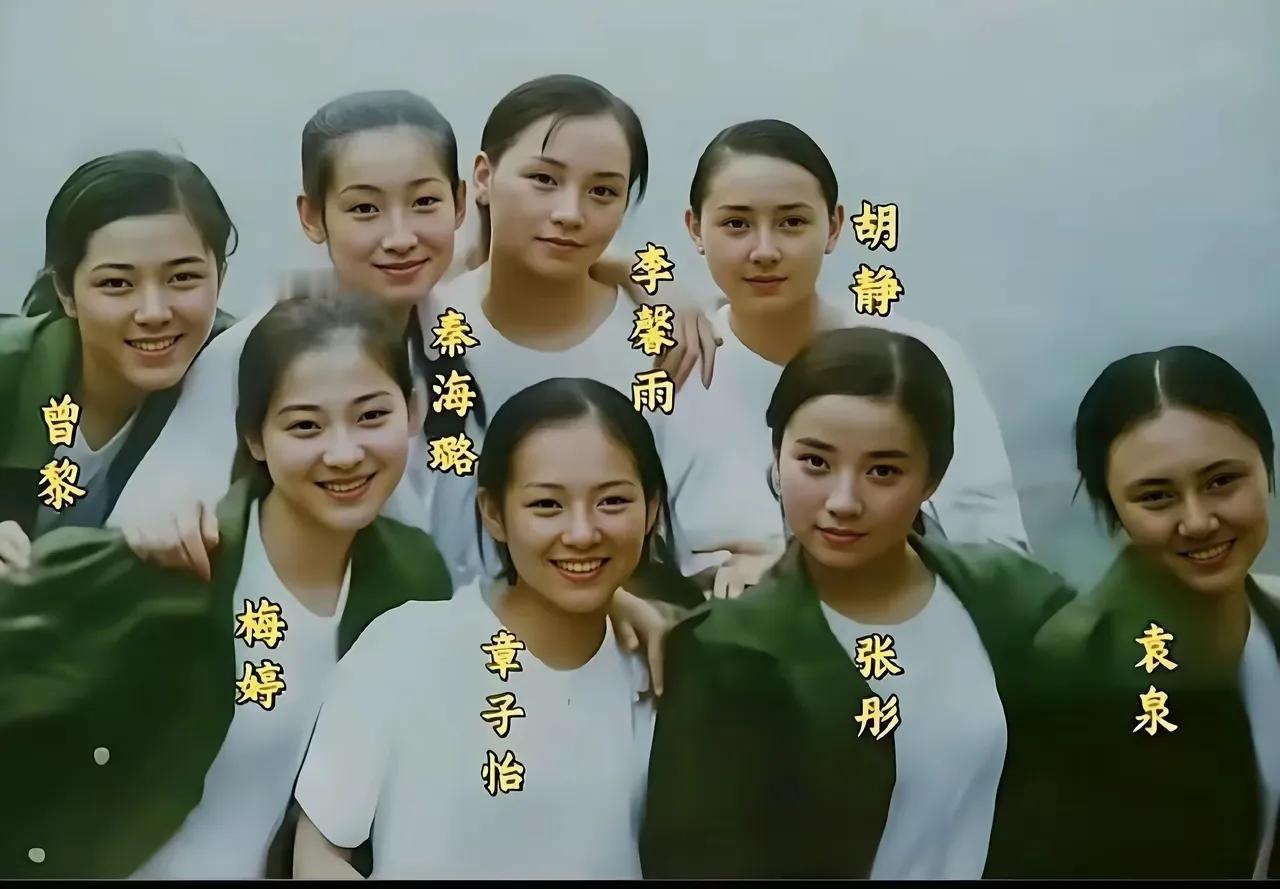 这是中戏明星班青涩照，在这张合影中，梅婷、胡静、曾黎三人的长相最好看，尤其是梅婷