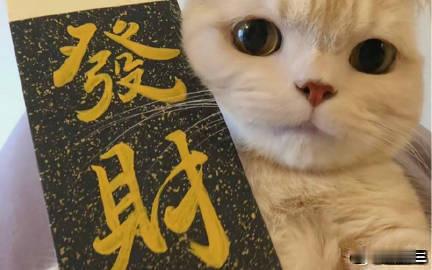 vplus足球狂欢季每日足球推荐竞彩足球西甲20:00阿拉维斯vs马德里竞技