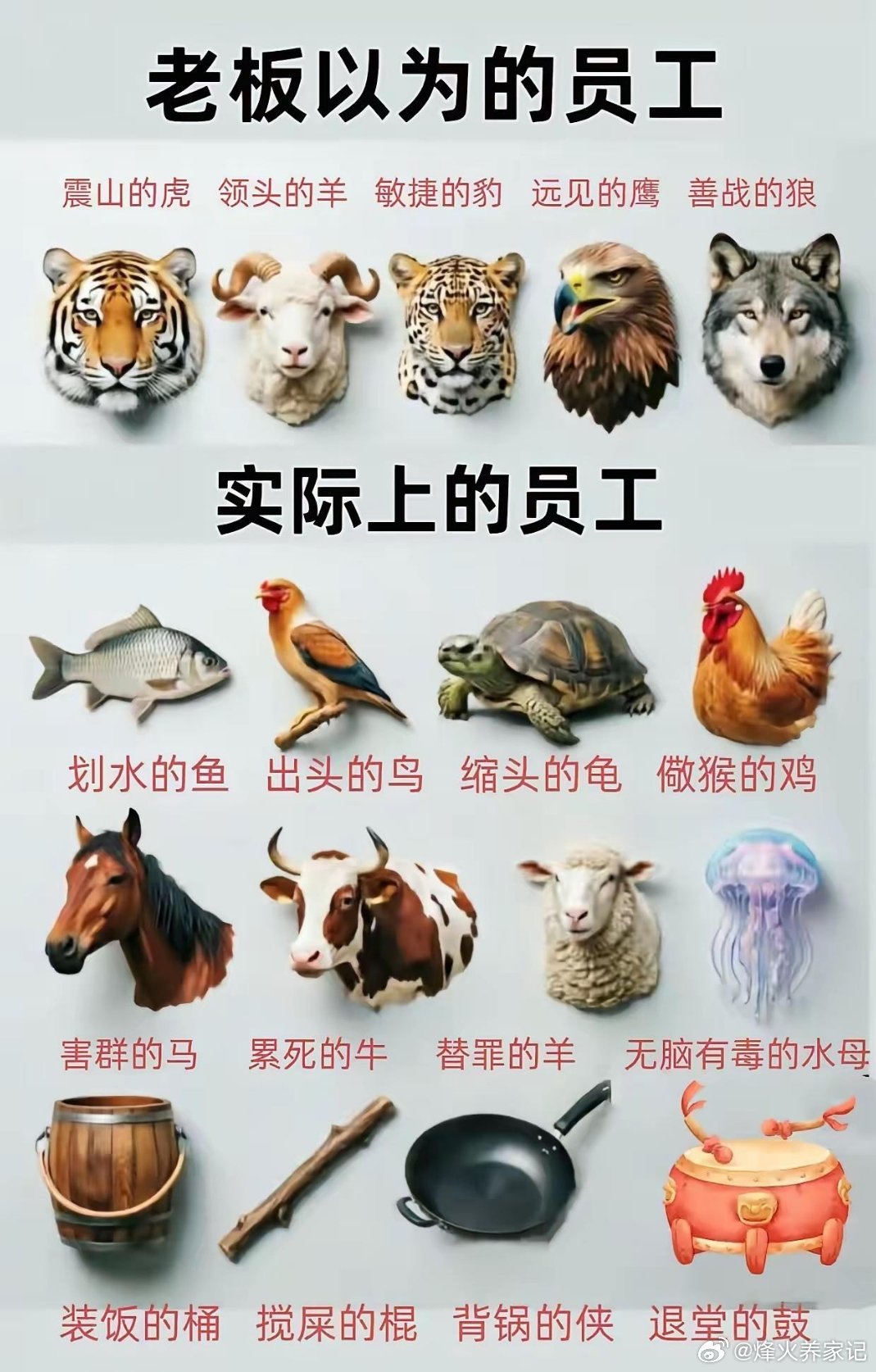 我就是害群的马
