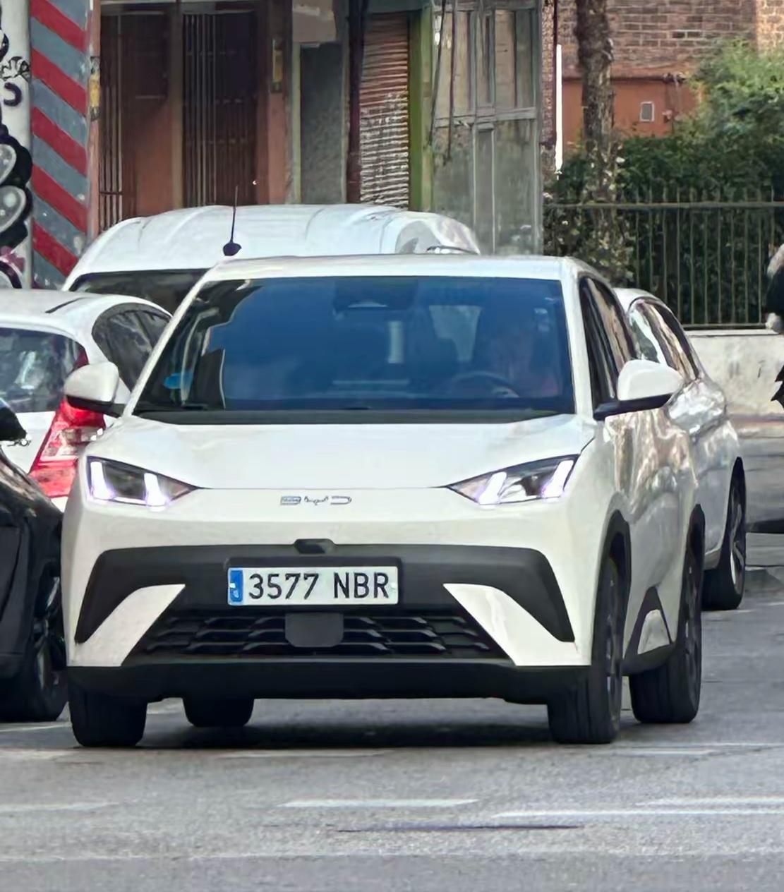 海鸥进化后有何提升？外观上，小家伙奶凶奶凶的模样，一副谁也不服的样子性能上，