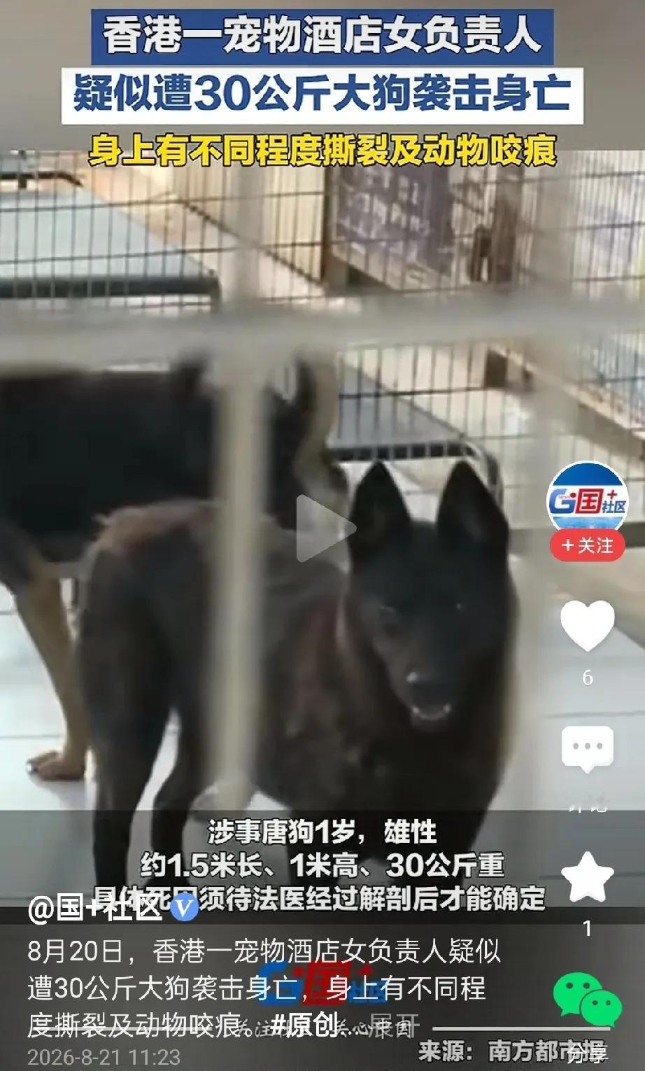 太吓人了！宠物酒店女负责人疑似被狗咬死！8月20号，香港一家宠物酒店发生致命意外