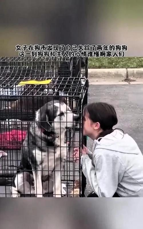女子小夏的狗在狗市重逢激动落泪狗用爪子安慰她周围人劝狗贩子把狗还给她，狗
