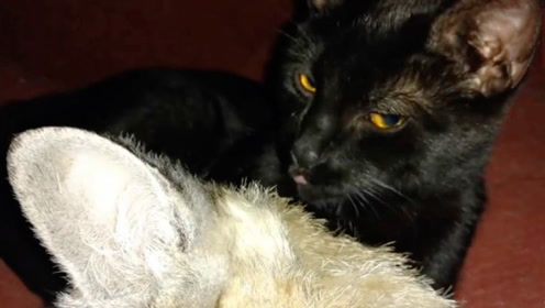 3236684093200709516.jpg?id=0