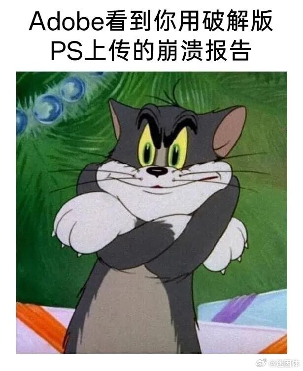 支持正版memes迷译图