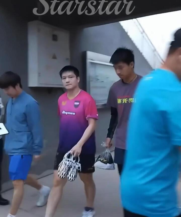 樊振东穿着粉紫色训练服，第一次见粉色！这件衣服绝版了，很难见到了，训练服很惊艳