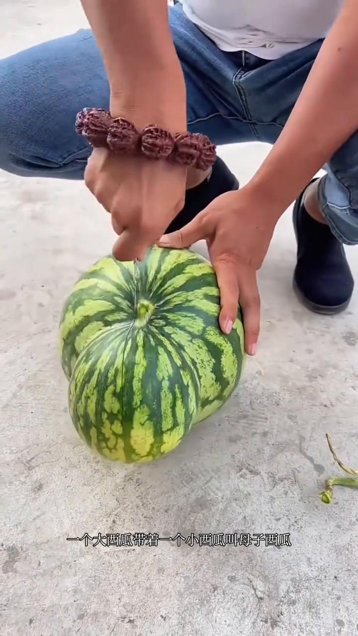 这是什么奇葩水果？大自然中粉色的水果不多，大概率是人为染色的水果。·这是什么