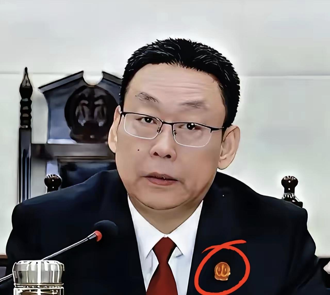 以邯郸法院乱象为镜鉴，在全国公检法系统开展彻底清查整顿邯郸丛台区法院执行局