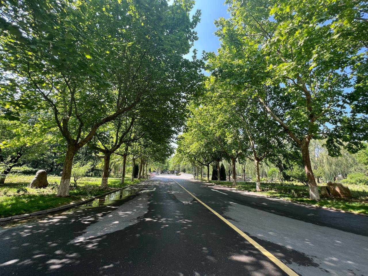 民办学校招生，决定因素在于本校学生家长！不论民办学校的广告做的如何，决定权仍在