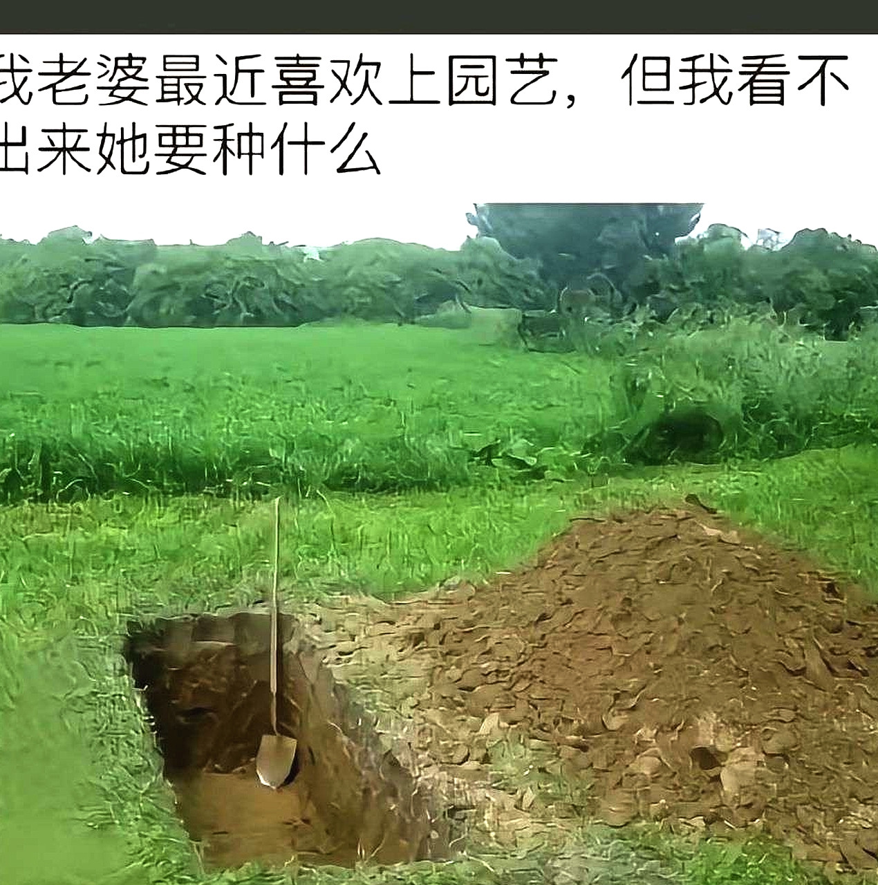 大郎该喝药了