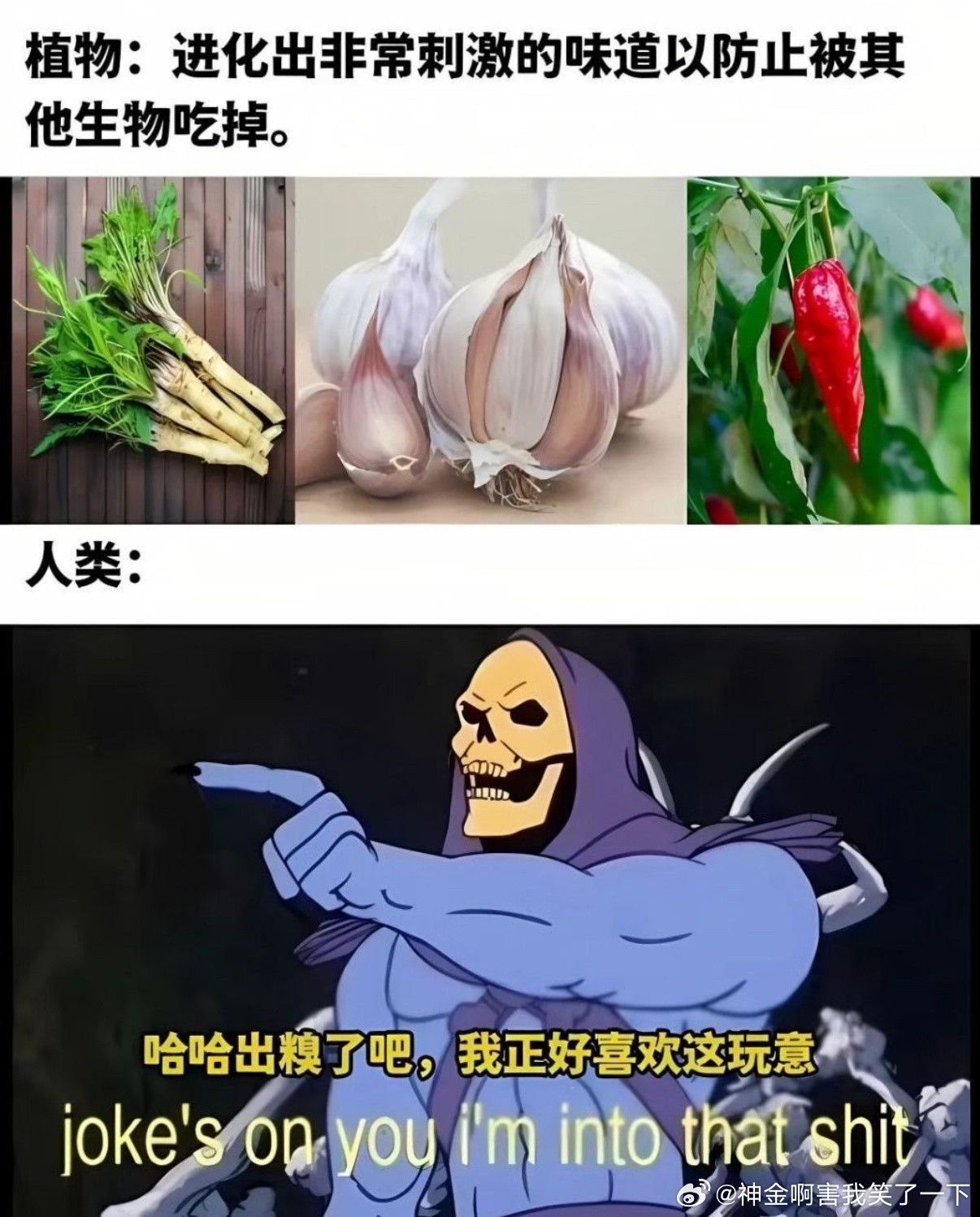 5159失败的防被吃机制​​​