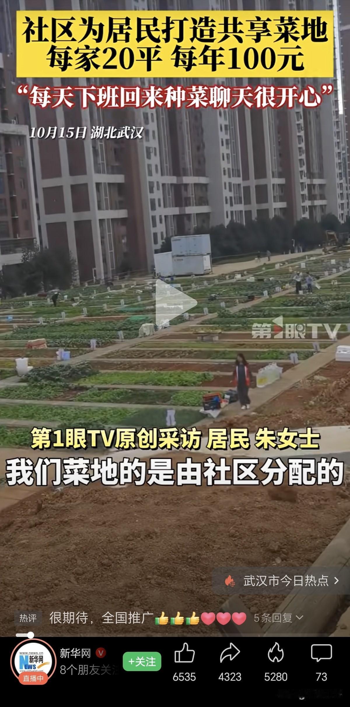 湖北武汉的一个社区，在旁边空地打造了共享菜地。给居民们每家分配了20平方米的地，