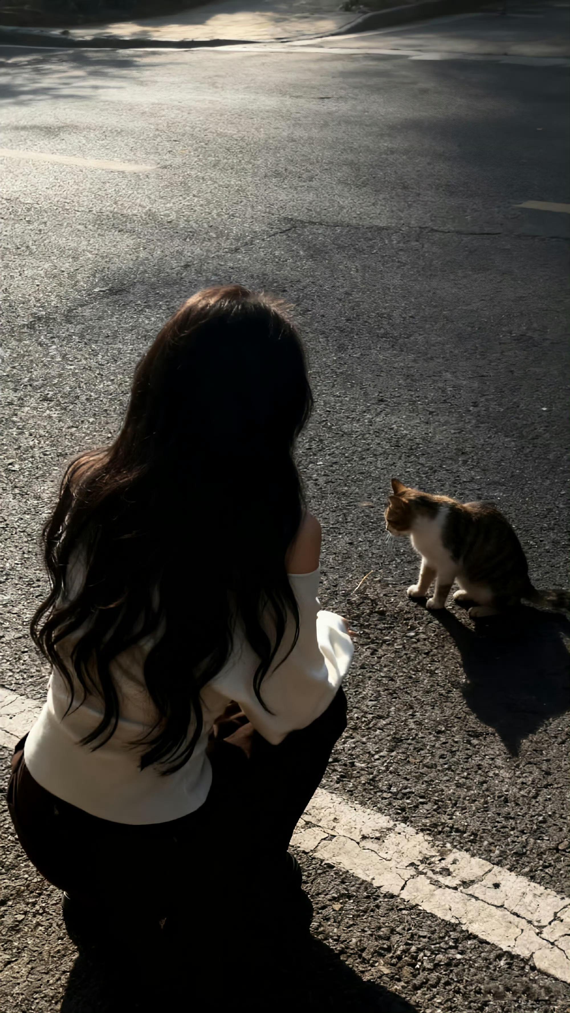 澳门49个码都猜不透怎么猜得到你的心