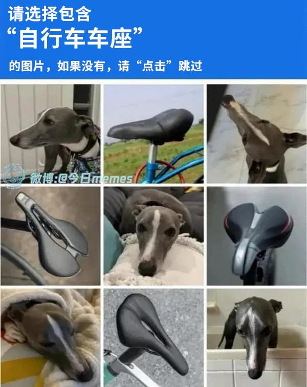 处处是你（9gag）今日meme今日memes