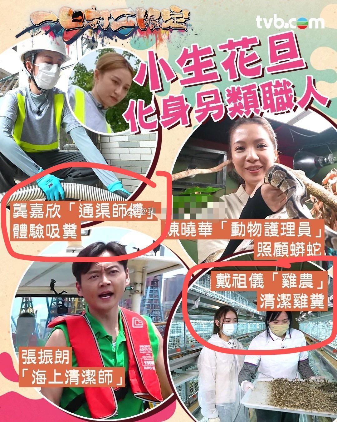 香港真的不把艺人当高高在上的明星，这一点内地拍马都赶不上！🤐TVB马上