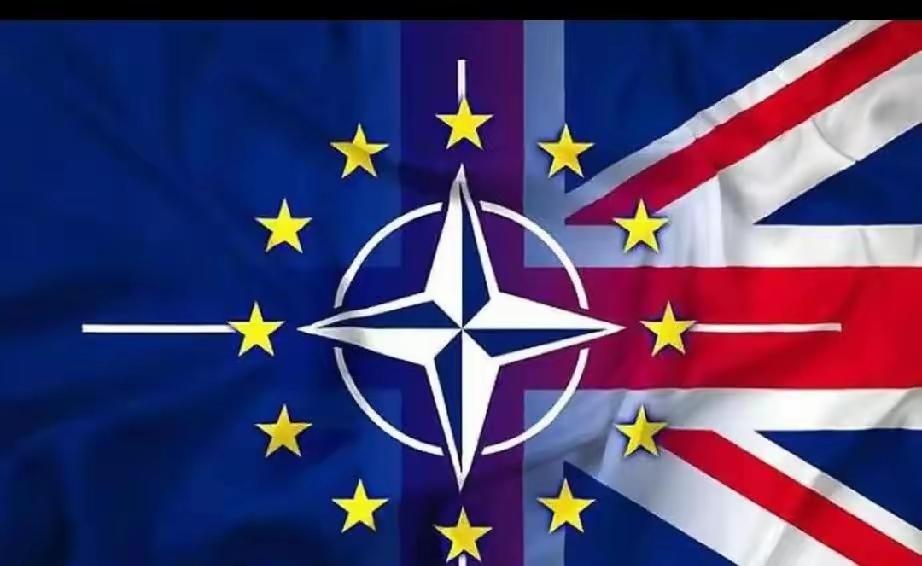 狼，终于来了！央视重磅披露，本月中旬，北约30个成员国将组成史上规模最大、级别最