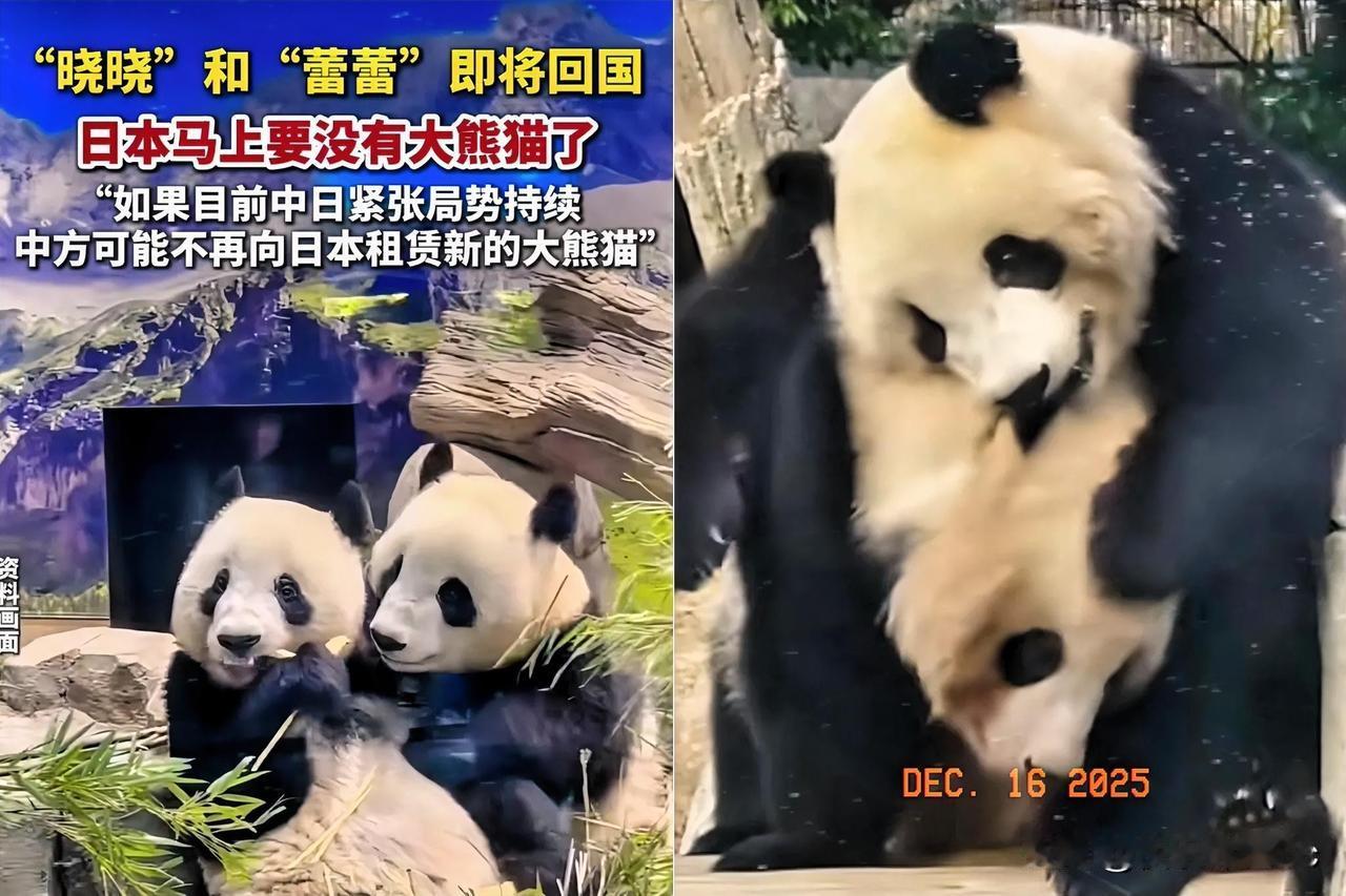 有句话是这么说的，“端起碗吃饭，放下碗骂娘”的现世报！这次终于可以回到家乡了