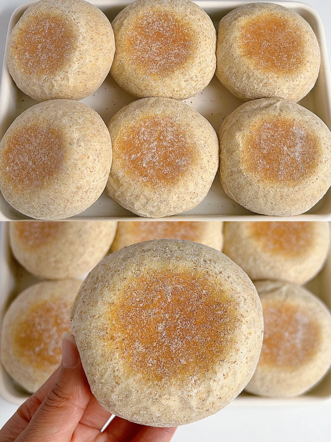 一次成功‼️无油无糖全麦麦芬，巨简单