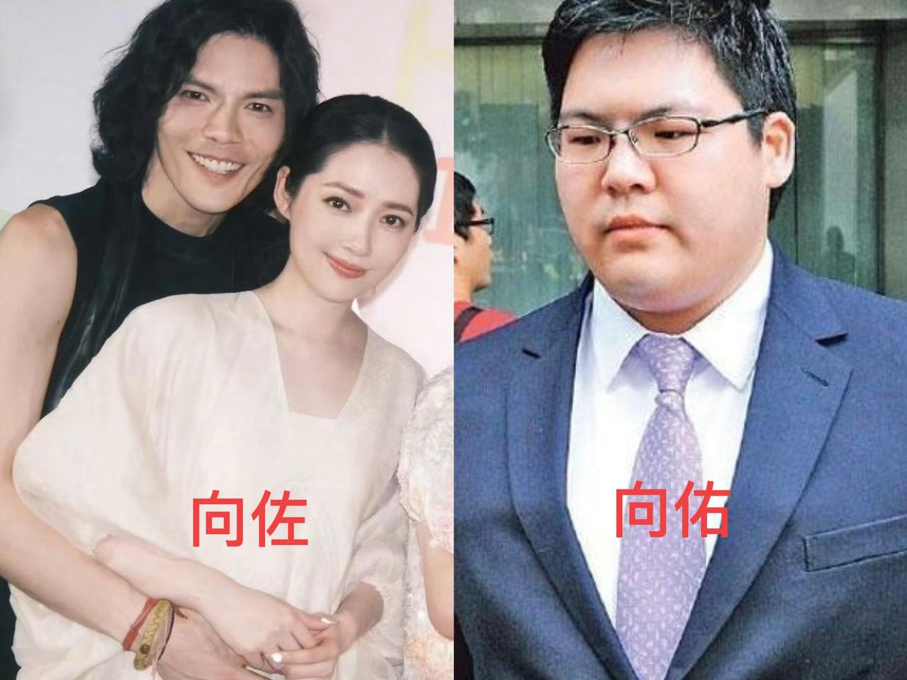 向太近日谈及豪门找儿媳的标准，一番直白发言戳中无数人，颠覆大众对豪门择偶