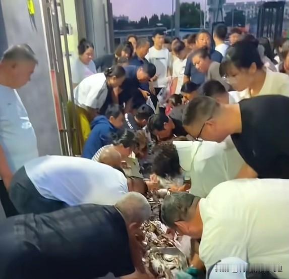 胶州梧州路清晨实拍！小宋海鲜门口又双叒叕堵了！每天清晨天刚擦亮，一车刚上岸的梭