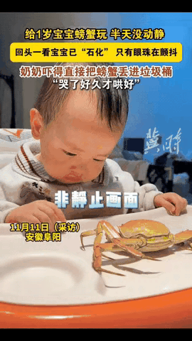 安徽一女子给刚学会走路的宝宝玩煮熟的螃蟹，没想到宝宝盯着螃蟹看了半天都不敢上前去