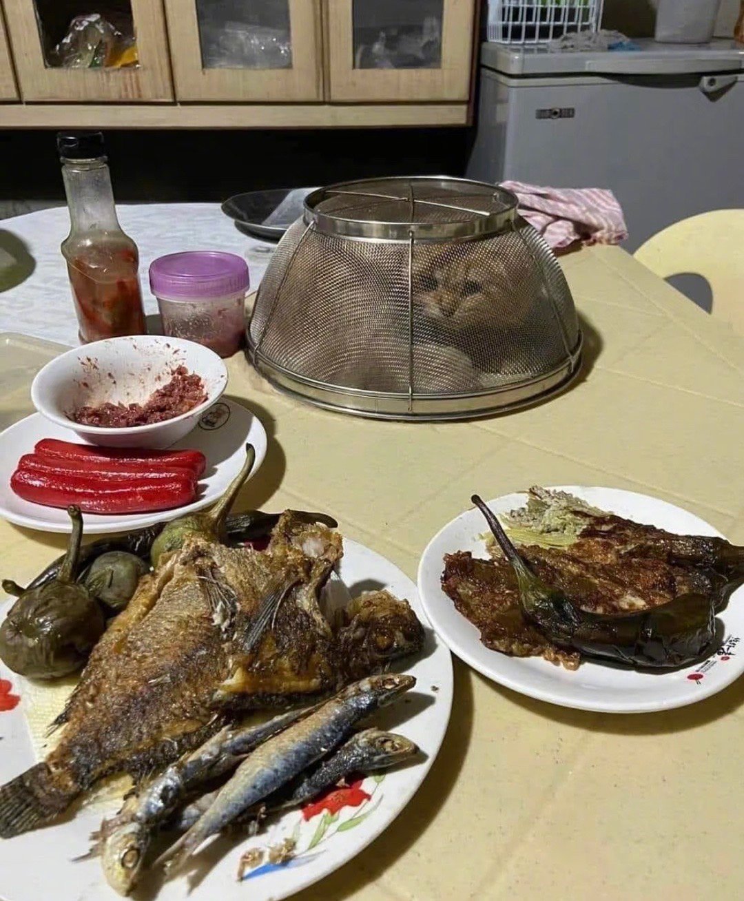 从根源上解决小猫偷吃​​​