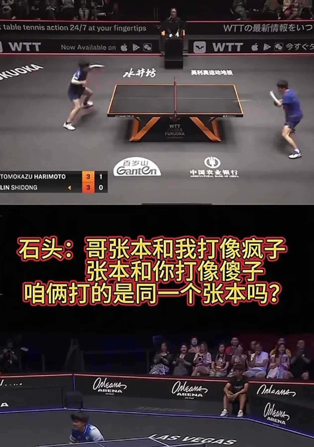 石头：哥，张本和我打像疯子，和你打像傻子，咱两打的是同一个张本吗？🥲[可怜