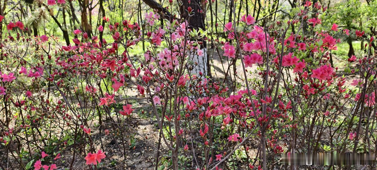 辞职后请同事吃饭，我干了三次，现在想想真是脑子进水我辞职过三次。每一次，我