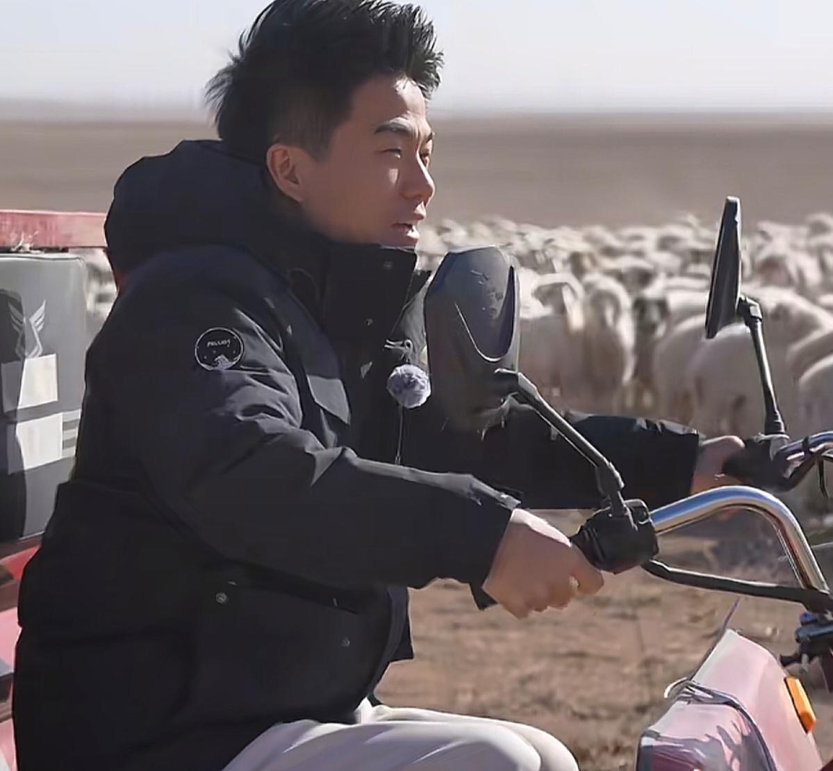 当盐池滩羊专家黄玉邦说：“我干了40年多年，不如咱这4个小时”时，那一刻，董宇辉