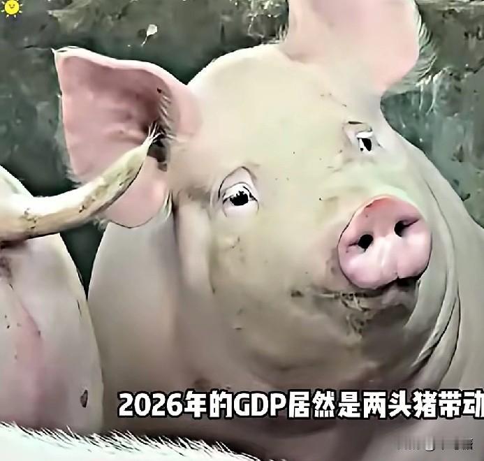 重庆合川火了，文旅笑了，吃到汤泡饭的网友们也笑了，就连闯祸的“呆呆”也无奈的笑了