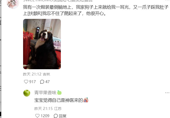 对主人的爱胜过了恐惧