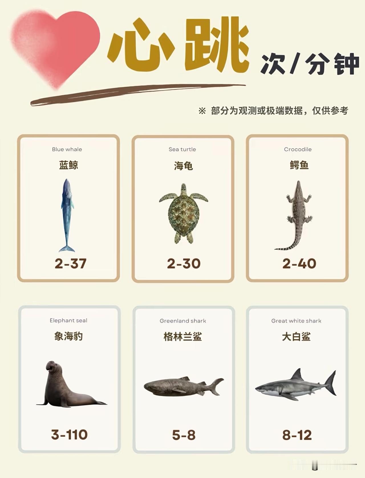 哺乳动物一生的心跳总次数，大约十亿次左右，人类却是意外！大多数哺乳动物，一生