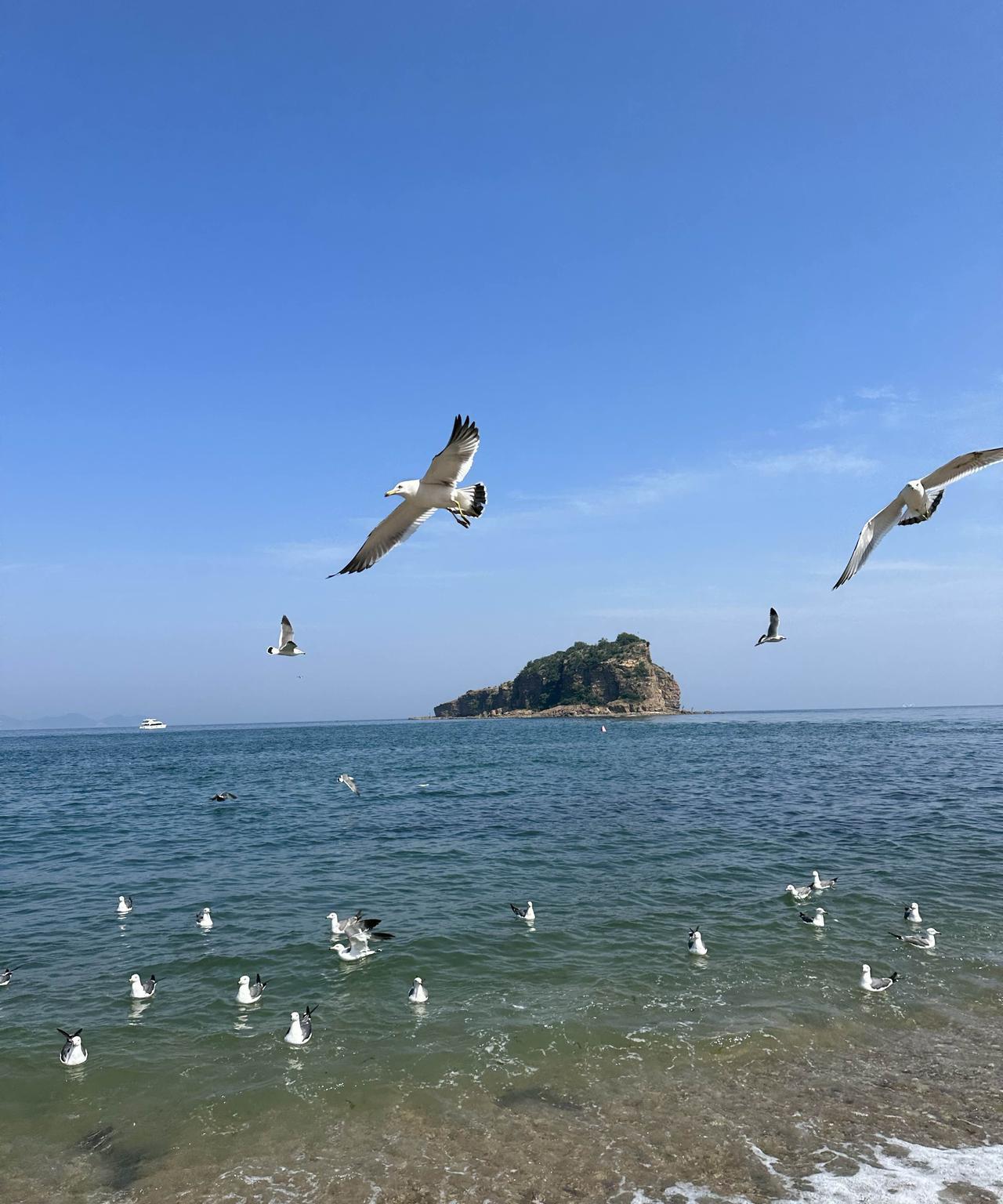 有没有和老宋一样，有这些旅游习惯的人？出去旅游，远一点的地方我会选择坐飞机，千