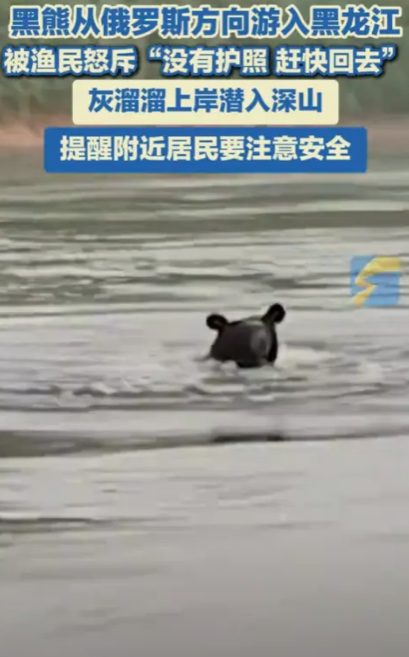 “惊险一刻！”5月29日，黑龙江，一位渔民下江捕捞时，却发现远处飞快游过来一个黑