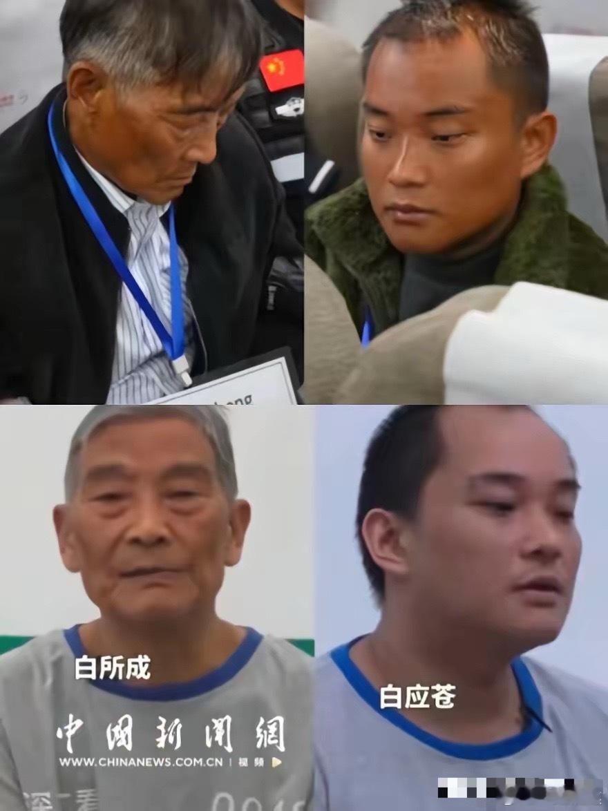 2月2日上午，白应苍等4人执行死刑，应该是注射的，真便宜他们了！白所成在一审宣判