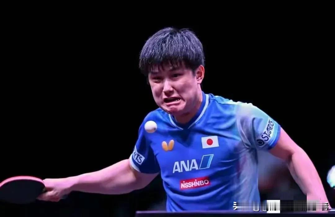张本智和蛮可怜的世界上大概没有一个乒乓球选手比张本智和更可怜的了，因为他输了球