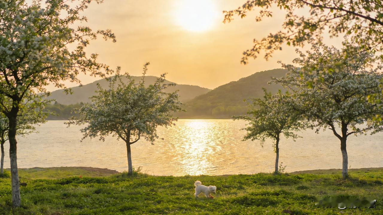 已婚男人通病？老婆再美不稀罕，外面女人瞟一眼就上头中年媳妇掏心窝的话，扎心
