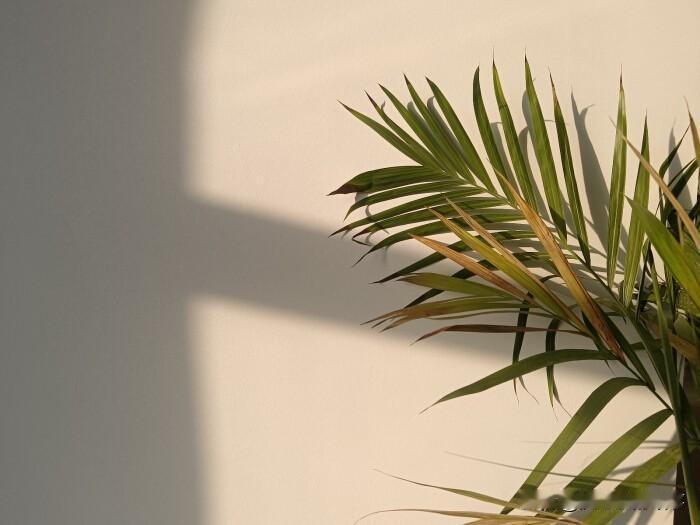 真是悔得肠子青了。我和同学都是54岁，35岁那年进了同一家工厂上班，当时交不交