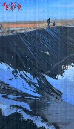 “科学解释不清了！”内蒙古，一只野生狐狸意外掉入10米深坑，当救援人员放下长布时