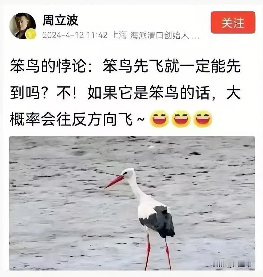 笨鸟先飞，未必能先飞到目的地，因为可能飞反方向。这话说得没毛病。