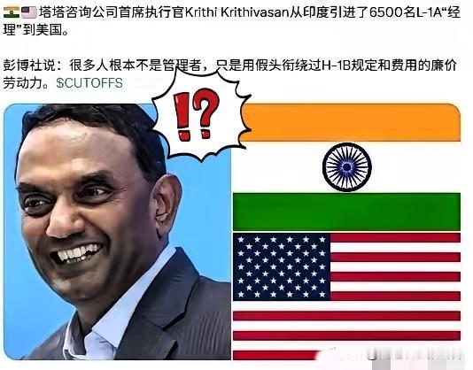 钻美国签证漏洞！印度巨头造假头衔，6500名普通工人摇身变“经理”赴美务工彭