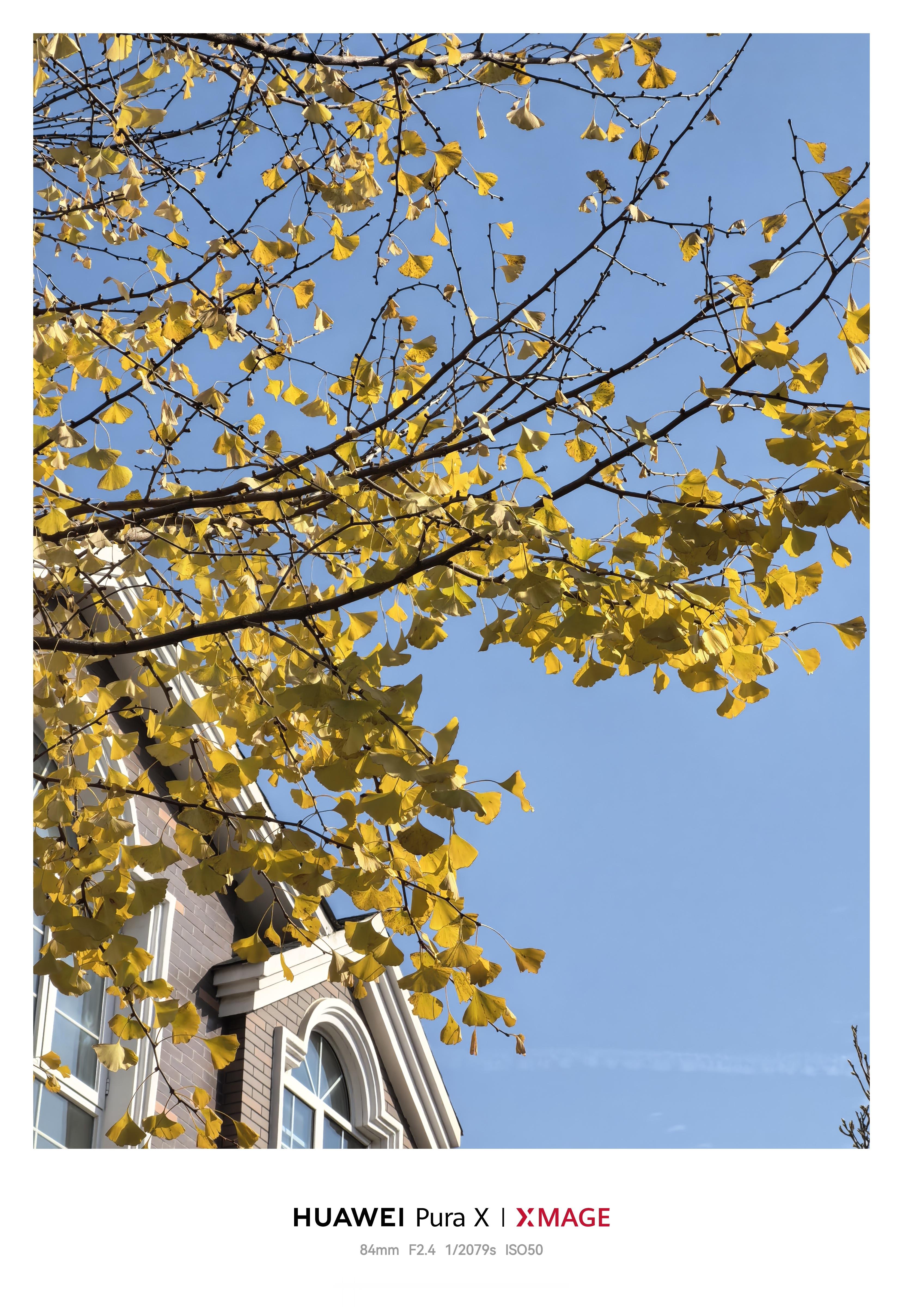 华为红枫原色镜头是华为近几年手机摄影最大，也是最实用的升级，即使影像配置不是顶级