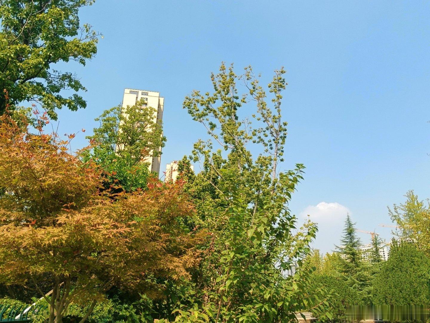 手机摄影天地明媚风光无限好​​​