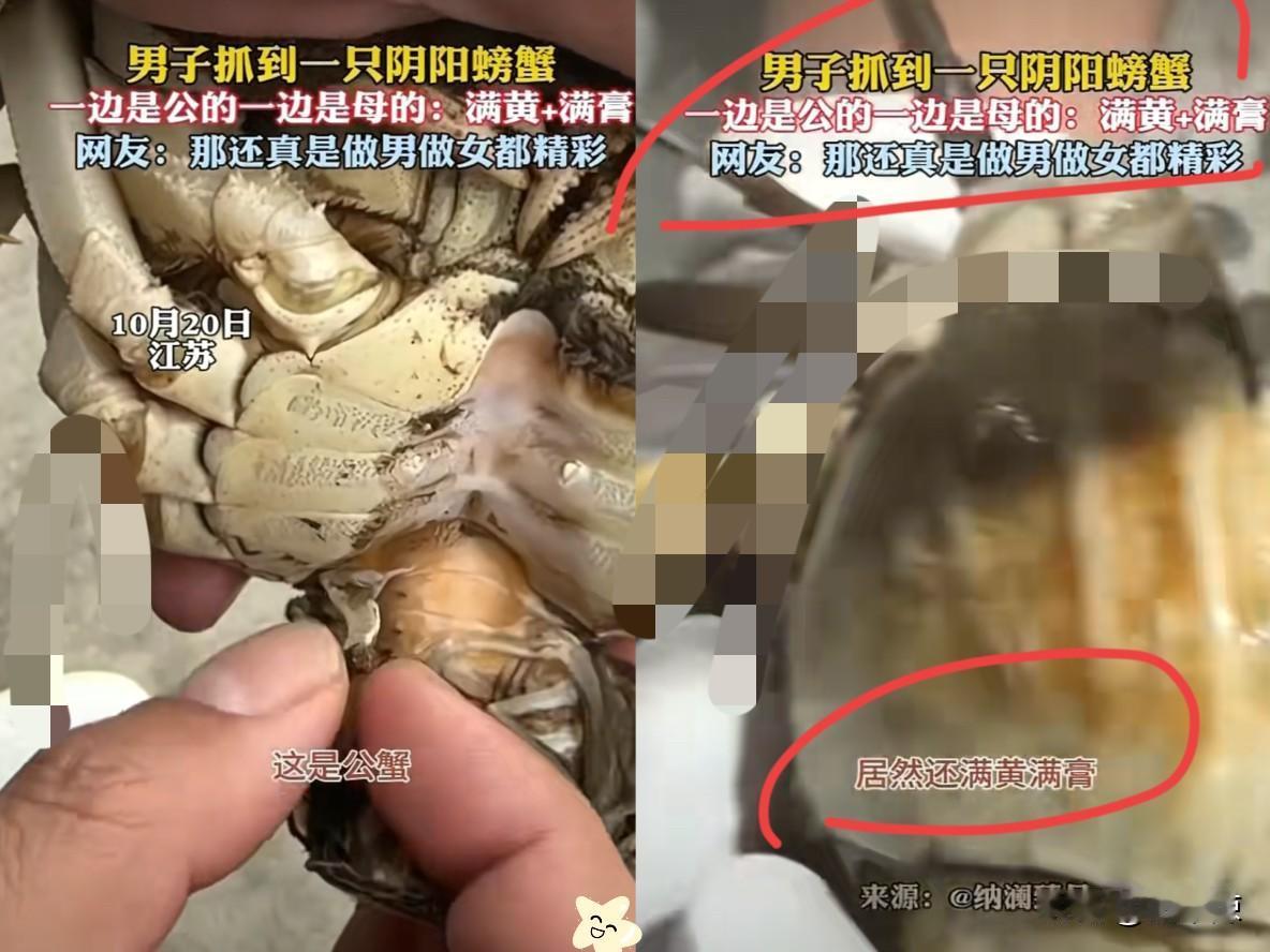 “太神奇了吧！”江苏，男子在河里抓到一只螃蟹，当他拿起螃蟹认真看时惊呆了，这螃蟹