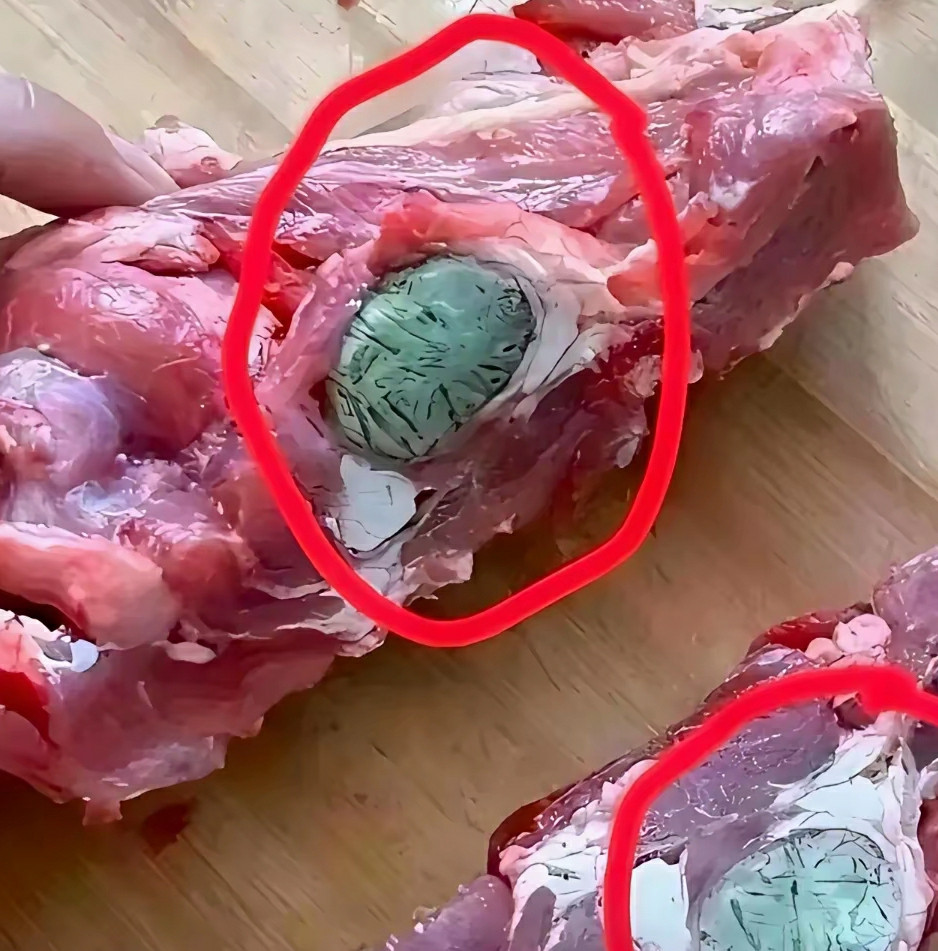 谁能告诉我，这块骨头到底是怎么了。